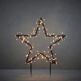 Luca Lighting - Garden d?light star garden stake 150 led warm white 8 function controller and timer-l60h73cm