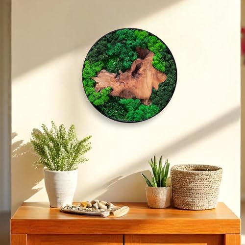 Serenzy 16" Round Cedar & Preserved Moss Wall Art |