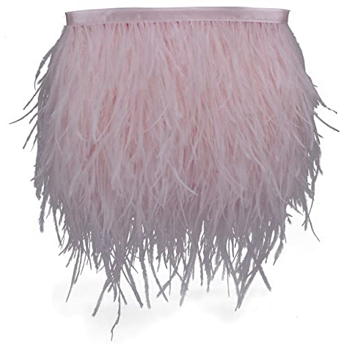 Amztkdiy Ostrich Feathers Sewing Fringe Trim Ribbon For Crafts Clothes Accessories Latin Wedding Dress Diy 2 Yards 4-6Inch Width (2 Yards, Baby Pink) #TOP2