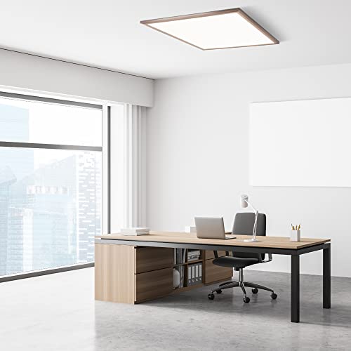 Ultralux 2X2 Ft Led Light Panel - Edge Lit, Surface Mount Led Ceiling Light Panel For Home & Office - Triac Dimmable, Flicker-Free Slim Light With Adjustable Color Temperature (Brushed Nickel, 1 Pack) #TOP6
