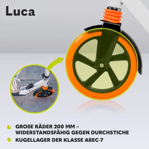 Cityroller Lionelo Luca Plus für Kinder und Erwachsene im Vergleich