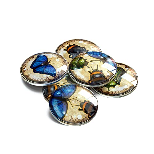 Pollen Board Game Upgrade