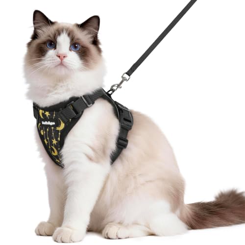Image of rabbitgoo Cat Harness and Leash Set, Escape Proof Vest, Lunar Prowl | Soft Breathable Mesh, Easy Adjustable Fit, Snap Buckles, Sturdy Clip, Reflective Strips, for Medium to Large Cats Walks, M