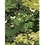 Tac Lt Utility Camo Monsoon