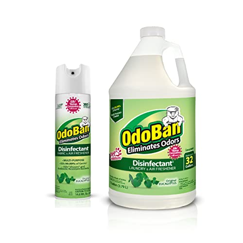 OdoBan Ready-to-Use Disinfectant and Odor Eliminator, Set of 2, 14.6 Ounce 360-Degree Continuous Spray Air Freshener and 1 Gallon Multi-Purpose Cleaning Concentrate, Original Eucalyptus Scent