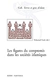  Les figures du compromis dans les sociétés islamiques (Terres et gens d\'Islam) (French Edition)