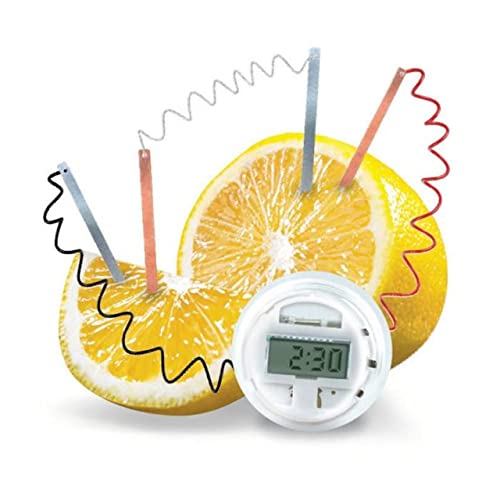 Lemon Clock Science Experiment Kit