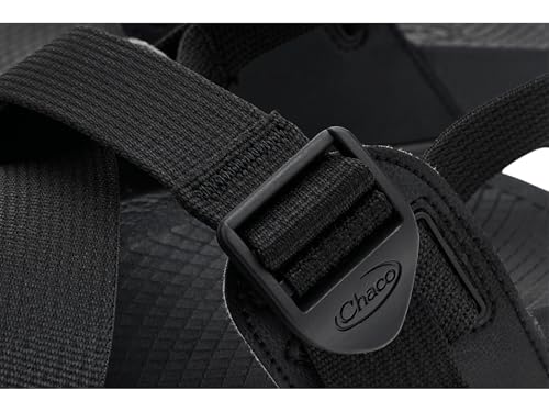 Image of Chaco Men's Lowdown Sandal