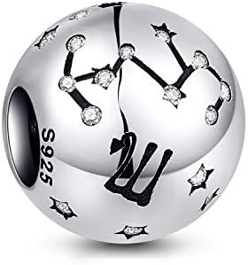 NINGAN Zodiac Birthday Charms Fits Bracelet and Necklace Women's Bead Charms 925 Sterling Silver Pandent for Women