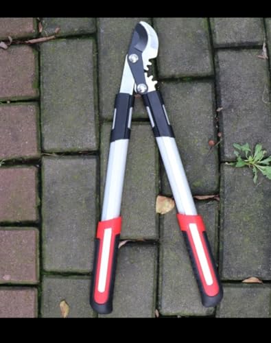Image of SK Organic Professional Ratchet Anvil Lopper with Compound Action, Sturdy Telescopic Handles with Extra Leverage, Garden Pruning Tree Hedge Branch Cutter Garden Lopper (Bypass 50cm Looper)