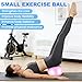 ROLYTA 2Pcs Yoga Ball 9 Inch, Mini Pilates Ball Exercise Ball, Balance Ball for Core Strength Stability Stretching Physical Therapy Workout at Home Gym Office