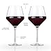 Viski Raye Angled Burgundy Wine Glasses, Crystal Clear Red Wine Glasses for Wedding, Anniversary, Birthday Gifts for Women and Men, Home Bar, Elegant Glassware, 21 oz, Set of 2