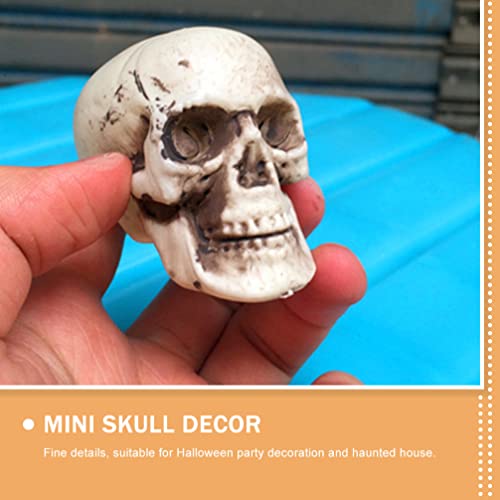 ABOOFAN Modelo de cabeça de caveira de Halloween 8 peças de brinquedo de esqueleto miniaturas cabeça
