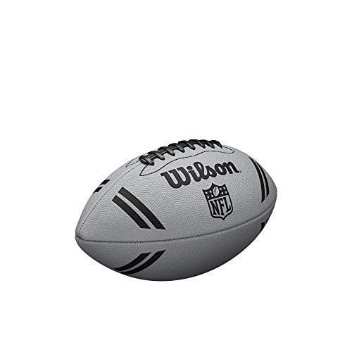 Image of WILSON NFL Recreational Footballs