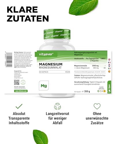 vit4ever Magnesium Malat - 365 Kapseln - 2000 mg davon 300 mg elementares Magnesium je Tagesportion - 4 Monatsvorrat - Hochdosiertes Magnesiummalat - Ohne Zusätze - Vegan