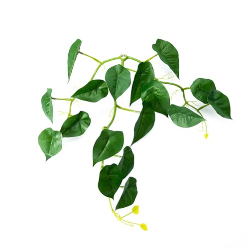 Ct̂悤ȋ̎Yق̑V~[VnbNxeEق̑