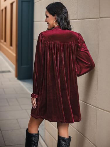Wowcarbazole Women's Velvet Dress V Neck Empire Waist Long Sleeve Winter Holiday Party Tunic Mini Dress4