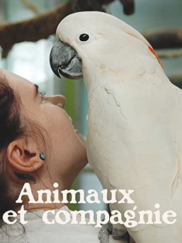 Animaux et compagnie