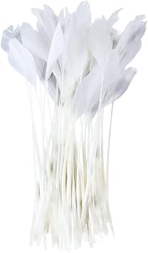 FEARAFTS White Goose Feathers for Hats Making Fascinators Decoration Pack of 50 White