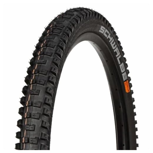 Schwalbe - Big Betty Downhill and Enduro Tubeless Folding Bike Tire | 29 x 2.6 | EvolutionLine, Addix Soft, Super Trail | Black