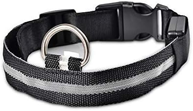Fresh Life Led Light Up Dog Collar, USB Rechargeable, Bright Colors (Large, Black)