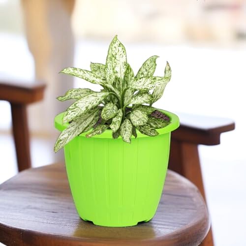 Image of Go Hooked Sunshine Flower Pot /Planters for Home Decor, Plastic Pots for Gardening /Home, Flower Pots Indoor-Outdoor & Planter for Plants (Green) (Pack of 2)