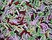 Licorice Pastels 2 lbs.