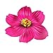 Super Z Outlet Hula Girl Paper Foam Hibiscus Color Assorted Flower Lei Hawaiian Island Rainforest Theme Hair Clips for Costume, Birthday Party Favors, Event Decoration Supplies (12 Pack)