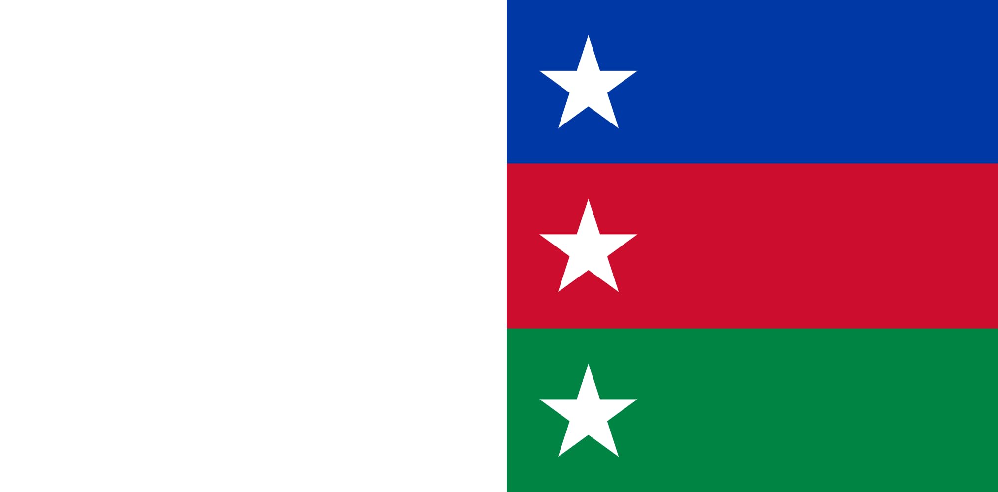 Drapeau Bayelsa State grand format pour décoration de salle culturelle