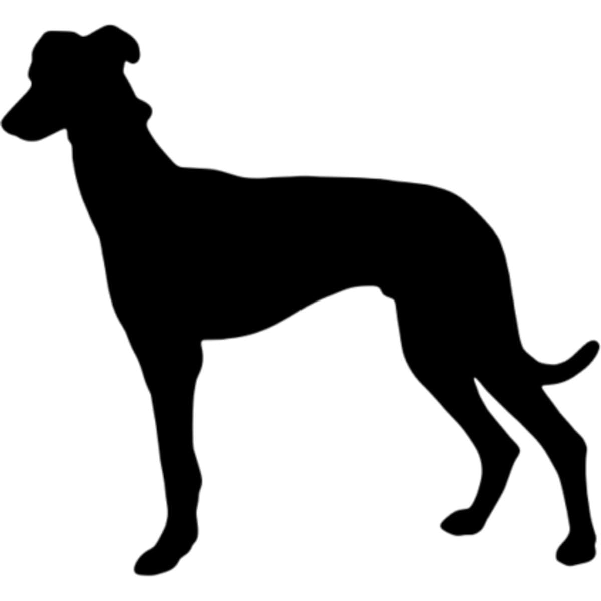 Azeeda 'Greyhound Silhouette' Wall Stencil - M (A5) (WS00033092)