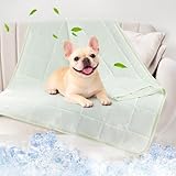 PICK FOR LIFE Cooling Blanket for Dogs, 0.4 Q-MAX Pets Cooling Comforter Throw for Bed Cover, Summer Blanket for Large Dogs Washable, Soft Lightweight Cold Mats for Pet Hot Weather (30'×40'/Green)