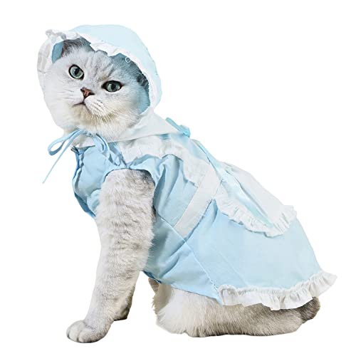 ybgpi lRp Ch RXvߑ  u[ XJ[gXqt L ݕt  ʐ^LO B^ σp[eB[ ybgϐg (L, u[)