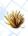 Calligraphy Reed Pen Qalam Kalam Pen Arabic, Farsi, Hebrew, Kurdish and Urdu 10 Units