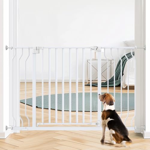 best dog gates