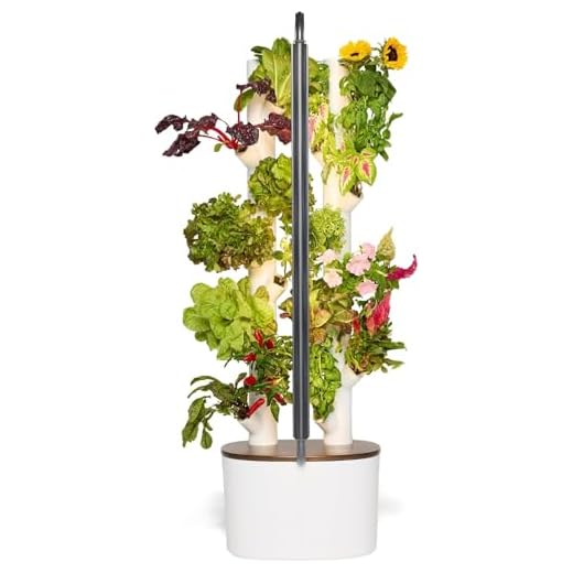 Gardyn Studio Hydroponics Growing System Kit & Vertical Indoor Garden Planter | Smart Herb Garden | Includes 16 Non-GMO Indoor Plants, Herbs, Vegetables & LED Grow Light for Your Home Gardening System