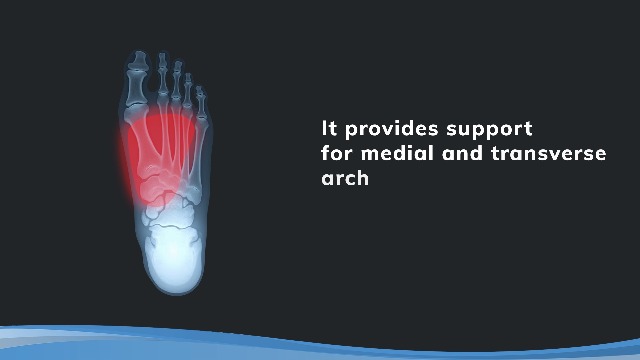 Image of HAPAD Longitudinal Metatarsal Arch Support Inserts for Women & Men, X-Small 5 /16 (Pack of 3) - Adhesive Arch Support Pads, Metatarsal Pads, Shoe Insoles - Foot Arch Supports for Flat Feet, High Arch