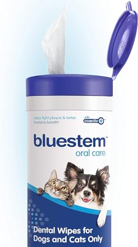 Bluestem Cat Dental Wipes