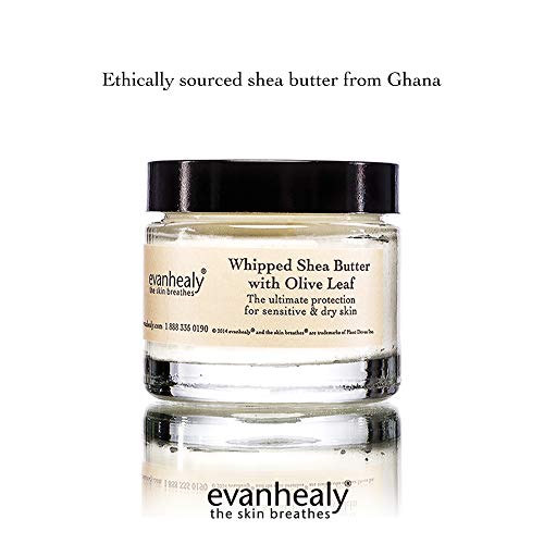 Evanhealy Whipped Shea Butter With Olive Leaf | Natural Body Lotion For Dry & Sensitive Skin | Shea Butter Raw Organic & Coconut Oil For Skin #TOP4