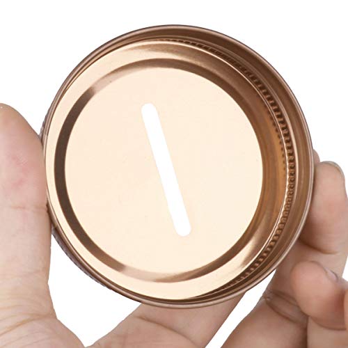 Feeshow 8Pcs Polished Rust Resistant Stainless Steel Coin Slot Bank Lid Inserts For Mason Jar Canning Jar Rose One Size #TOP4
