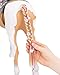 Our Generation – 18-inch Doll Accessories – Styling Set – Hair Extension – Pretend Play – Toys for Kids Ages 3 & Up – Palomino Paint Horse