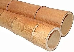 MOSO Giant Bamboo Cane (100 cm Diameter 4/6) – Second Choice – Decorative Natural Stick for Home, Garden, Fence, DIY and Outdoor Indoor Design