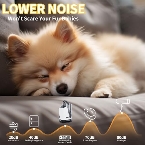 Lanchez Dog Grooming Vacuum & Dryer, 8 in 1 Pet Grooming Vacuum for Dogs with 3L Dust Bin, Low Noise 12Kpa Suction Dog Vacuum for Shedding Grooming with 3 Modes for Shedding Pet Hair, Home Cleaning