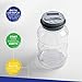 DISCOVERY KIDS Digital Coin-Counting Money Jar with LCD Screen, Keeps Track of Deposits, Battery Operated, Automatic Piggy Bank Savings for US Coins, Childrens Financial Educational Learning Tool Gift