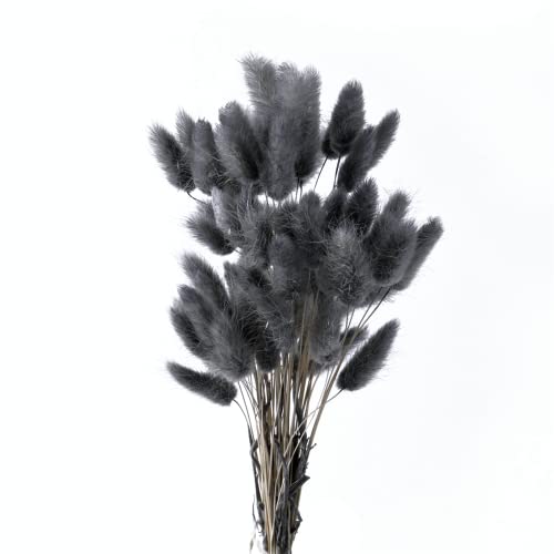50 Stück Pampasgras, Häschenschwänze, Natürlicher Pampasstrauß, Boho-Trockenpflanze, Kein Geruch Verwelkt, für Heimdekoration, Party-Arrangement, Hochzeitszubehör (Grau-Schwarz) Cover