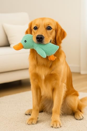 Busstier Köpek Oyuncağı Ördek Şekilli Peluş Sesli ve Hışırtılı Dayanıklı Çiğneme ve Isırma Oyuncağı Anti Stres Yumuşak Peluş Köpek Eğitim ve Oyun Oyuncağı (Yeşil) - Görsel 2