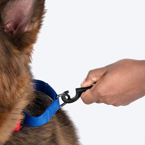 Image of HUFT Martingale Collar - Crimson Red & Cobalt Blue (S) | Durable, Stylish Adjustable Dog Belt for Puppies, Small & Medium Dogs | Perfect Collar for Walking & Everyday Use