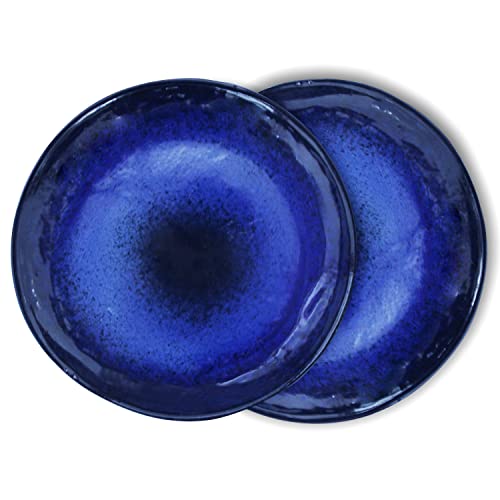RoRo Speckled Blue and Black Fade Hand-Made Ceramic Stoneware Dinner Plates, Set of 2