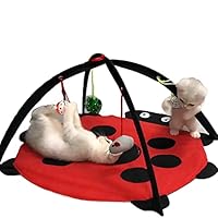 Tofern Katzenspielmatte Mit Spielzeug, Interaktives Spielzeug, Faltbare Hängematte, Katzenbett, Waschbar, Bett, Sofa Für Kleine Tiere, Rot (61 * 61 * 34cm)
