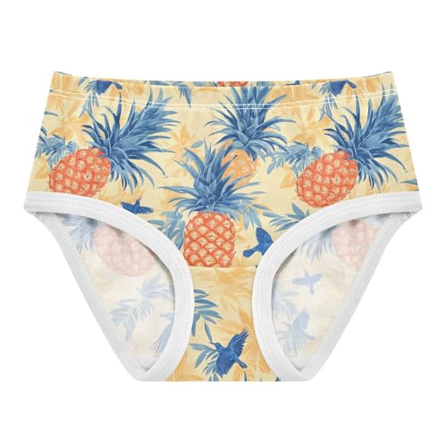 Girls Underwear Soft Cotton Pineapple Bird Kids Panties in Sizes 2/3t, 4t, 5t, 6 and 8
