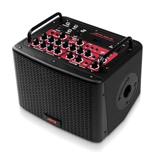 40 Watt professional and powerful amplifier for live stream and recording with bluetooth and headphone monitor, elevation angle and support hole design for amps cascading. Guitar & Mic dual channel with multi digital effects: Reverb/Chorus/Delay, ind...